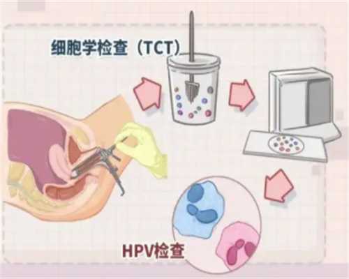 2026年平衡易位患者做试管，究竟促排几次能筛选出健康胚胎？