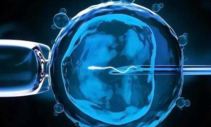 男性艾滋患者实现生育梦想：试管婴儿技术流程与代生代怀费用全攻略