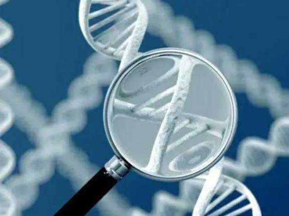 输卵管一侧不通一侧通畅，该先做手术还是直接试管助孕？